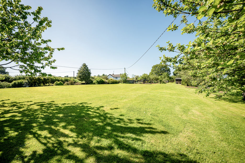 Garden- click for photo gallery